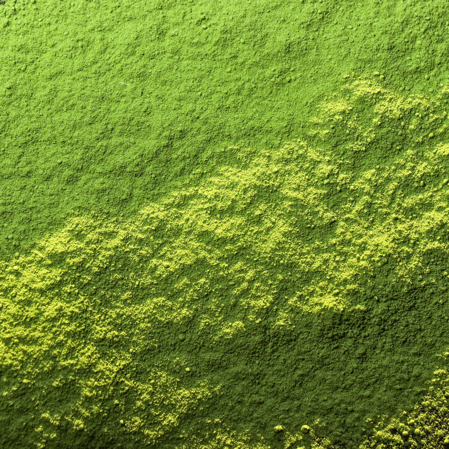ODAYA MATCHA - JYU 寿 100g