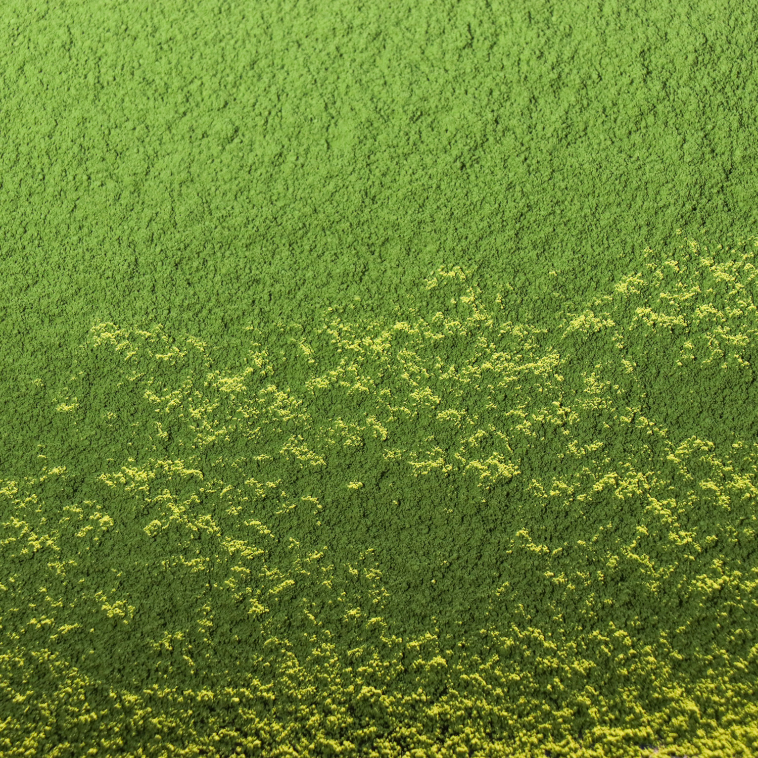 ODAYA MATCHA - MU 無 1kg
